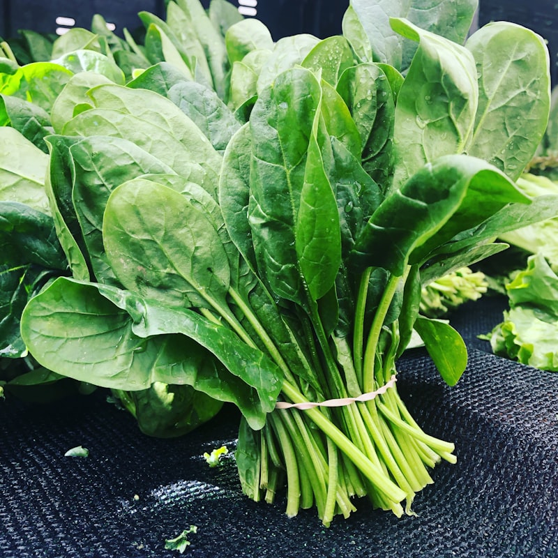 Spinaci, broccoli e verdure a foglia verde
